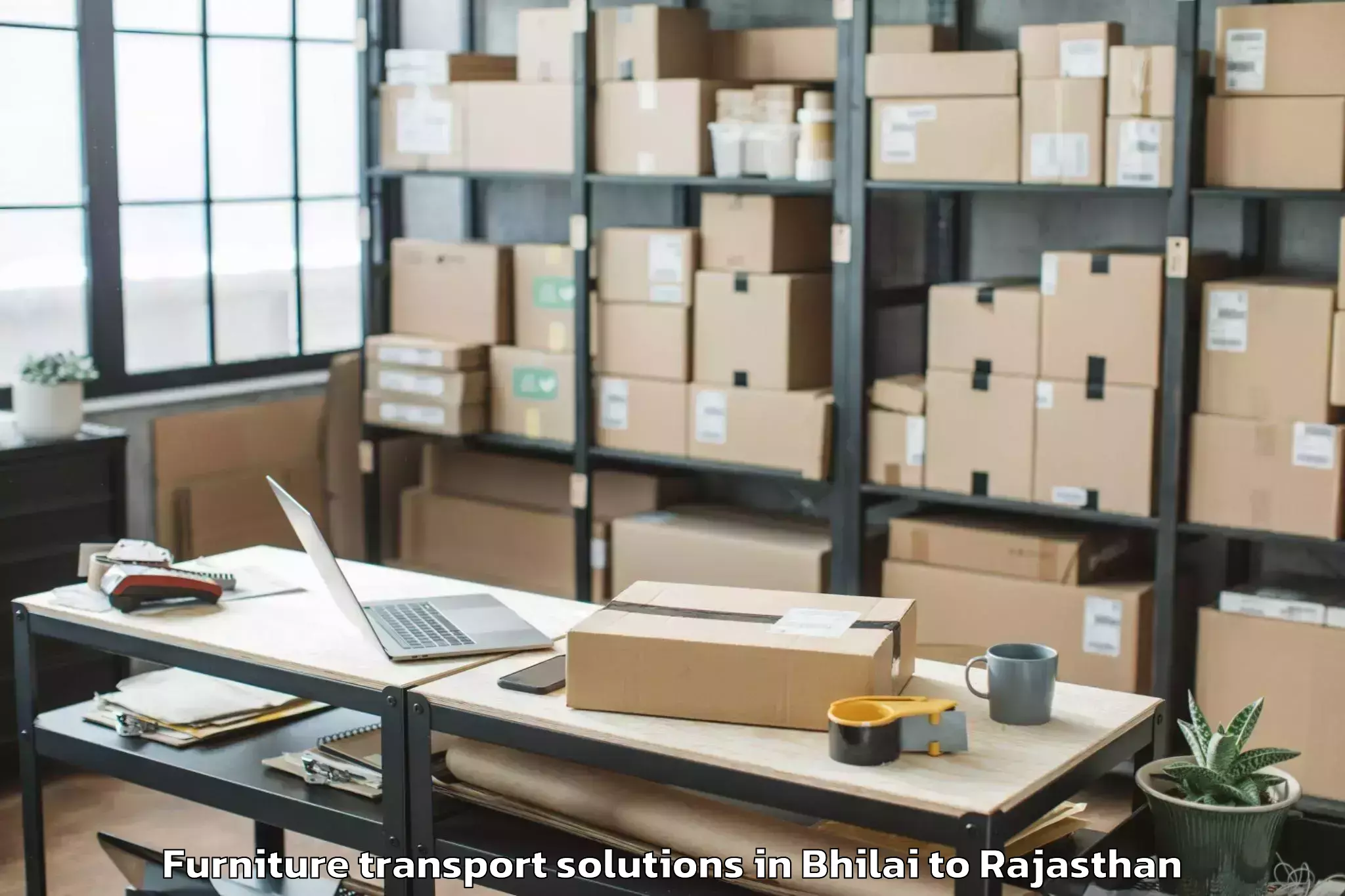 Book Bhilai to Nathdwara Furniture Transport Solutions Online